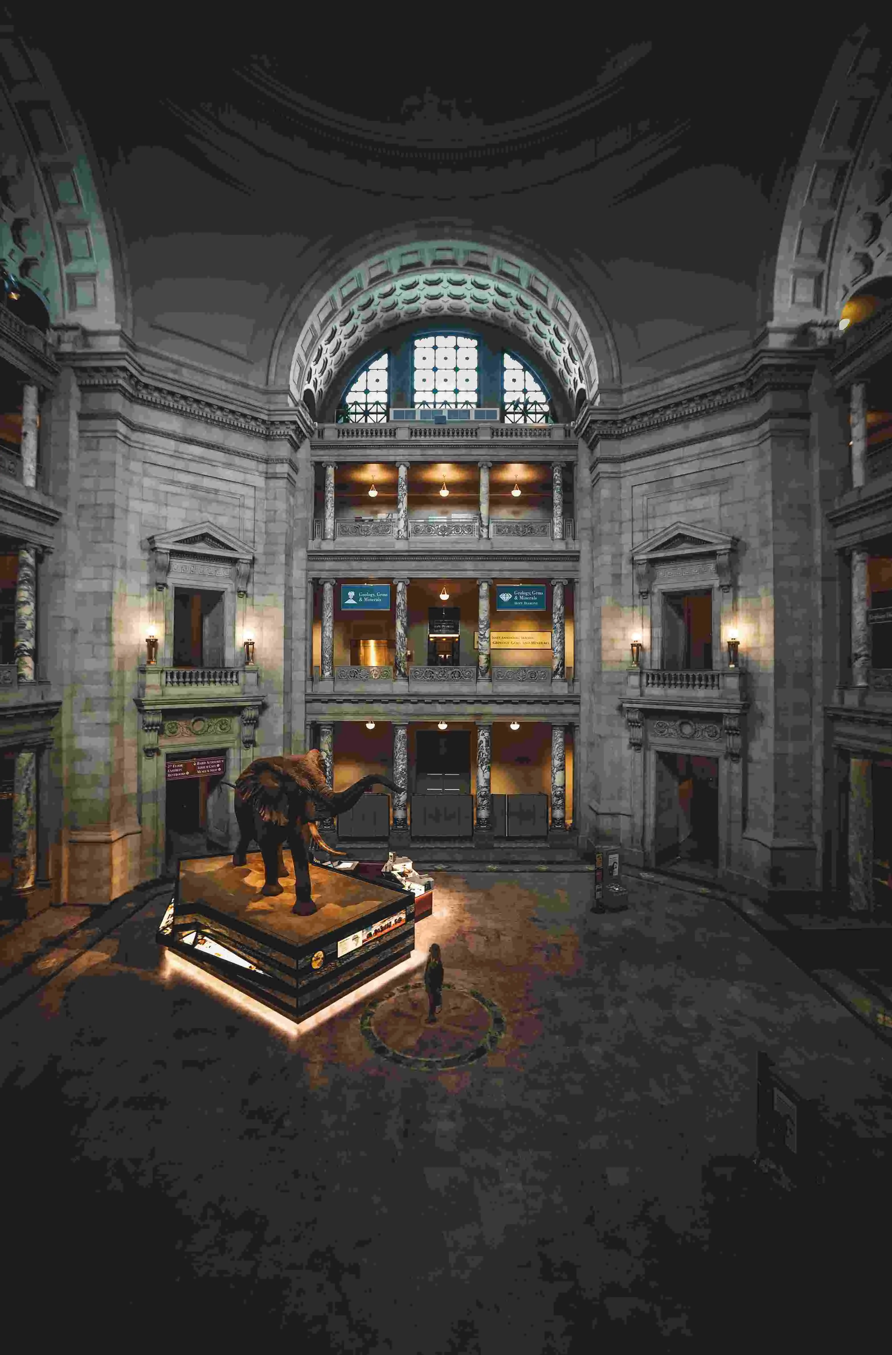 A photo of a cross-hallway with stone walls and floors, four floors high with many doors leading to different exhibitions, tall arched windows on top of the fouth floor shining light on a elephant statue in on of the corners of the rounded hallway.